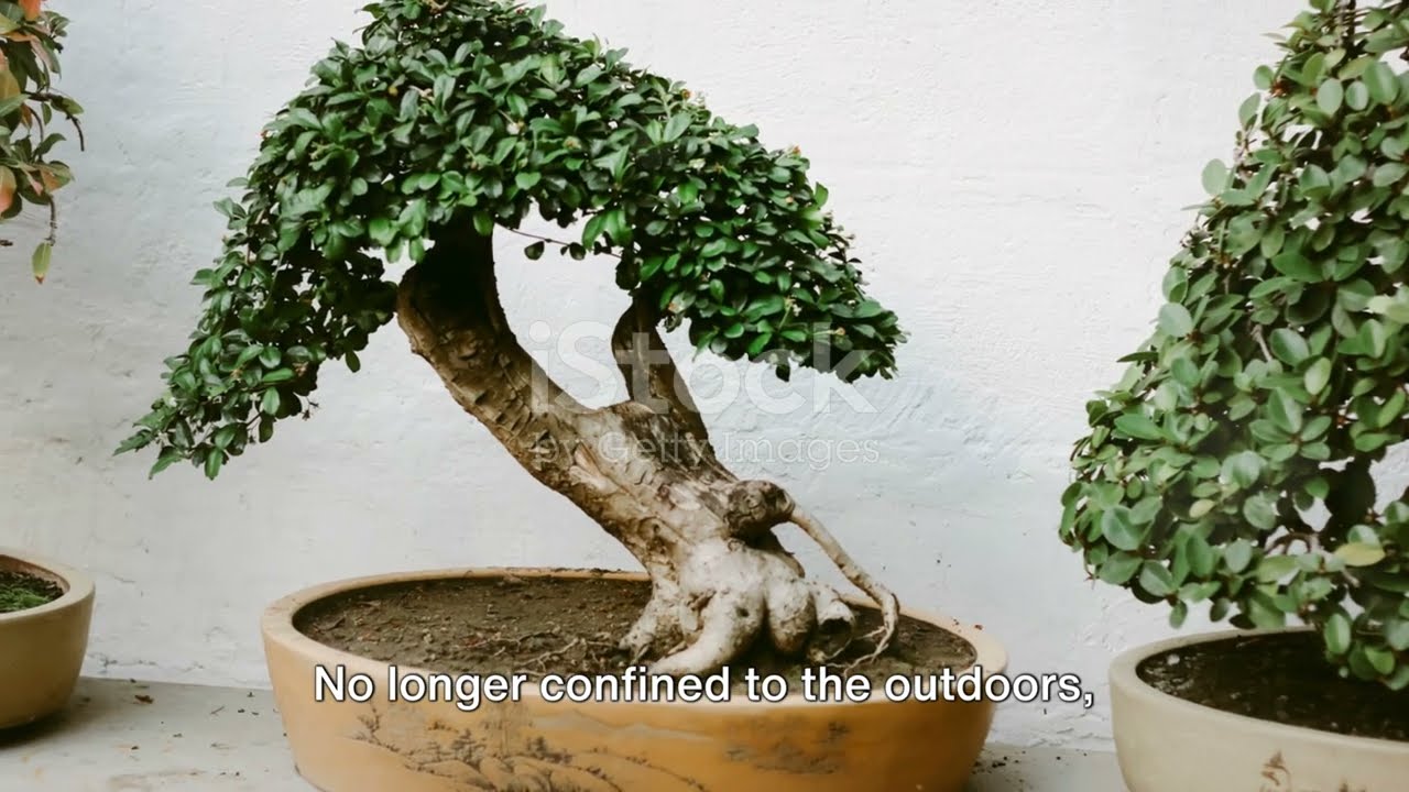 Bonsai: A Journey from Ancient Art to Modern Techniques