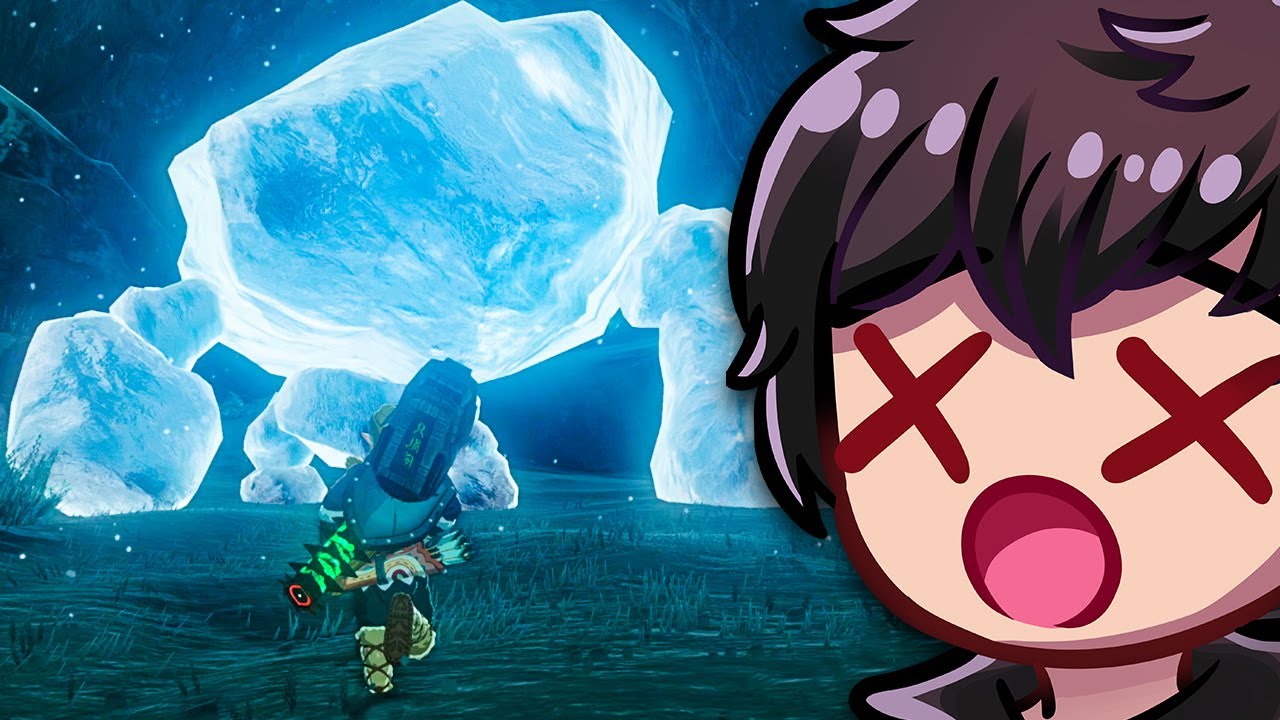 DIESER GEGNER NIMMT MICH KOMPLETT HOPS! [09] (Zelda TotK Dark Army Resurrection)