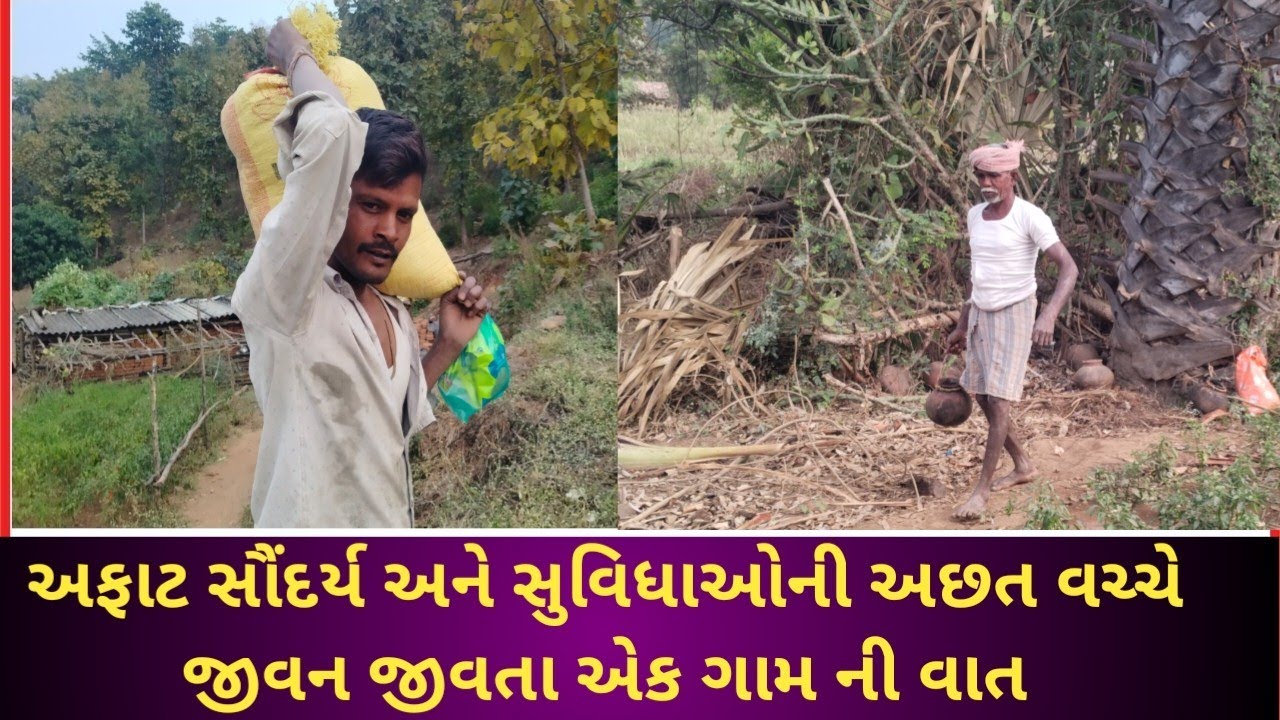 દેશ આઝાદ થયો પણ આ આદીવાસી વિસ્તારમાં હજી સુધી કોઈ સુવિધાઓ નથી, પાવીજેતપુર તાલુકાનું ભાભર ગામ ! 