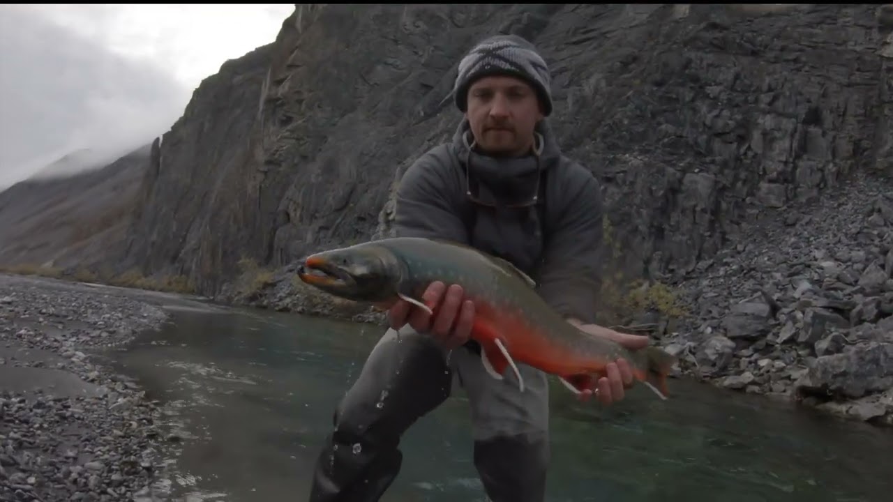 Brooks Range Float Trip