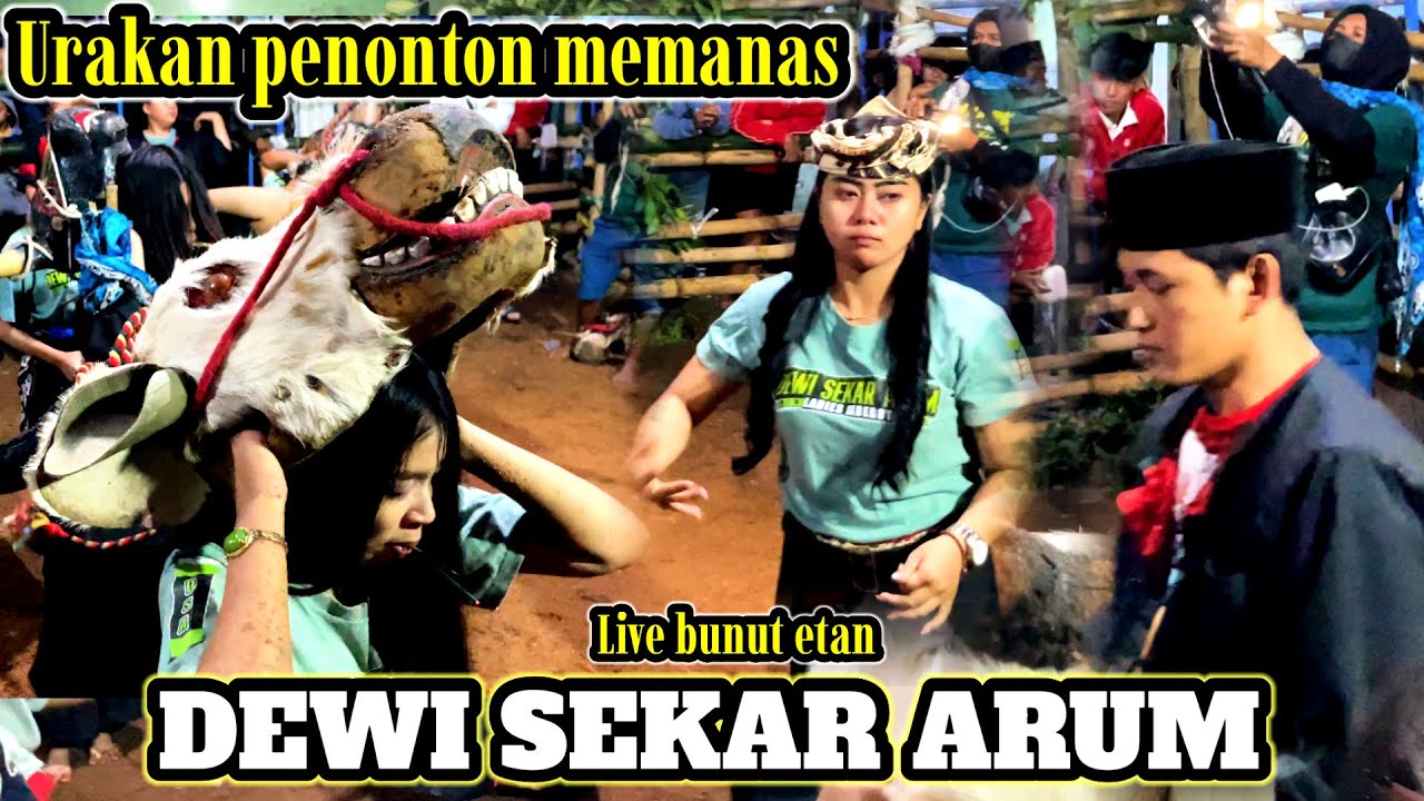 Penonton full urakan memanas || DEWI SEKAR ARUM live bunut timur - pakis
