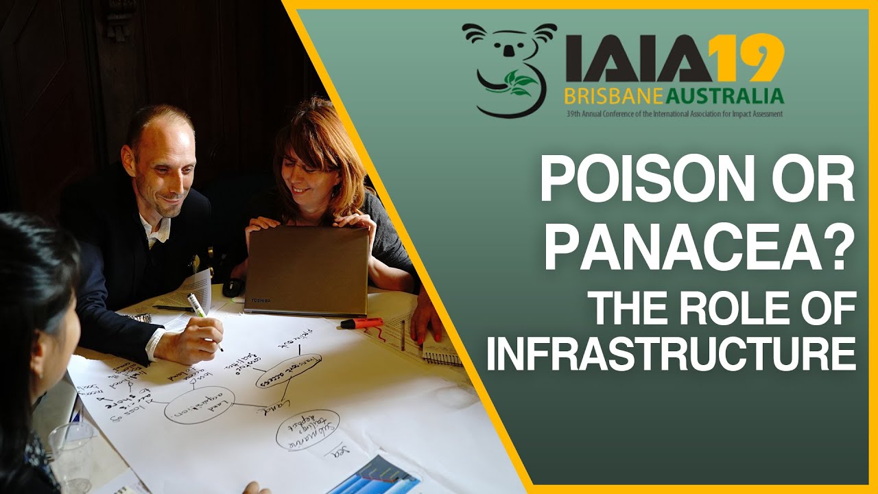Seeing the forest for the trees:  Part 6 of 7. Poison or panacea? The role of infrastructure.