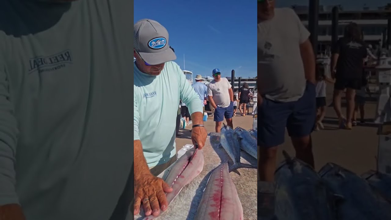 Reel Deal Sportfishing запущен!