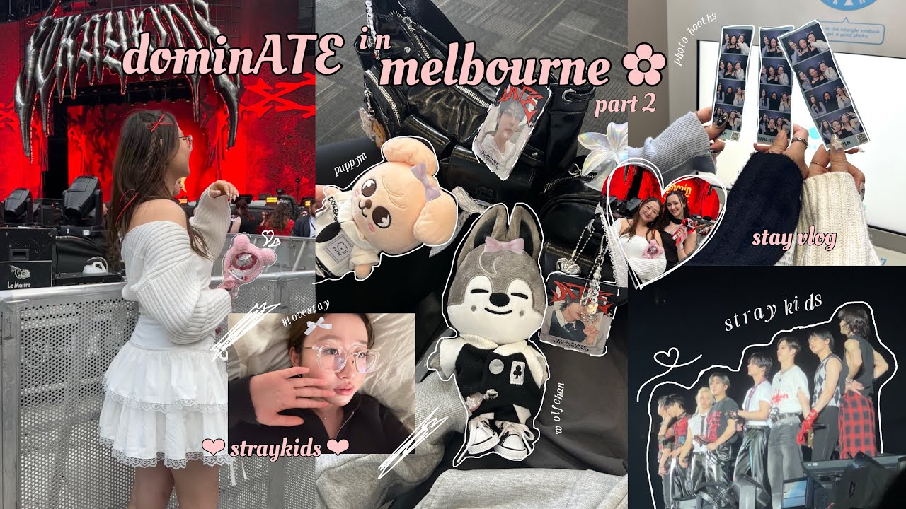 stay vlog ʚɞ straykids dominATE tour in melbourne pt 2 -191024 ♡₊˚ 🦢・₊✧
