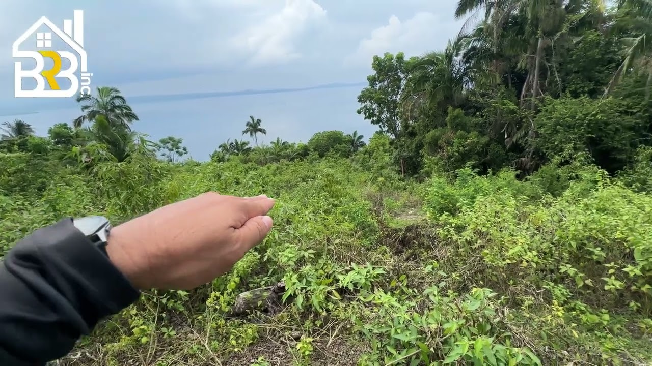 RUSH SALE SEAVIEW PROPERTY | 3,208 SQM | TITLED | MARIBOJOC BOHOL PHILIPPINES