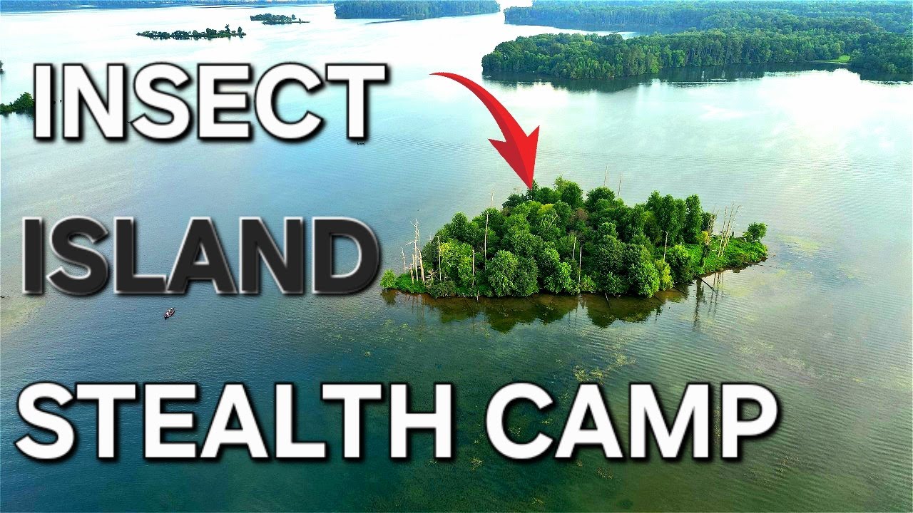 Stealth Camping on an INSECT INFESTED island