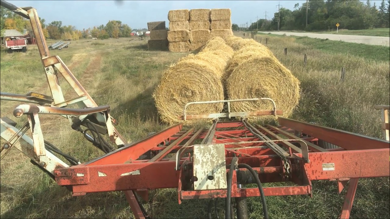 Hauling Barley straw