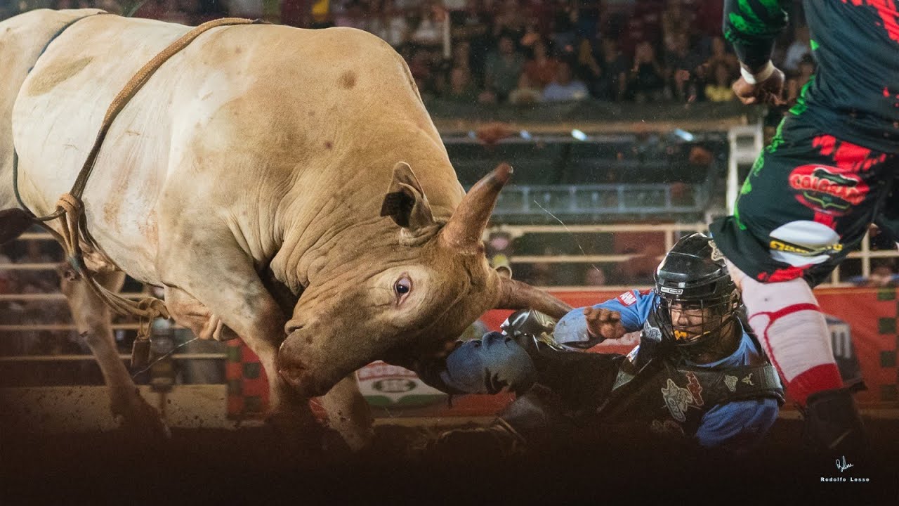 Rodeio de COLORADO 2025 (SEXTA / MELHORES MOMENTOS)