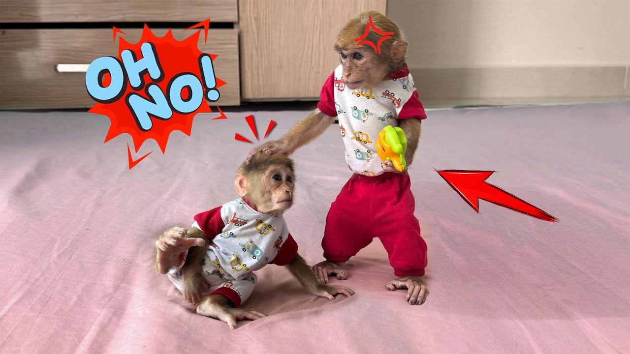 Unbelievable! Lucky&rsquo;s strange behavior scares Sunny