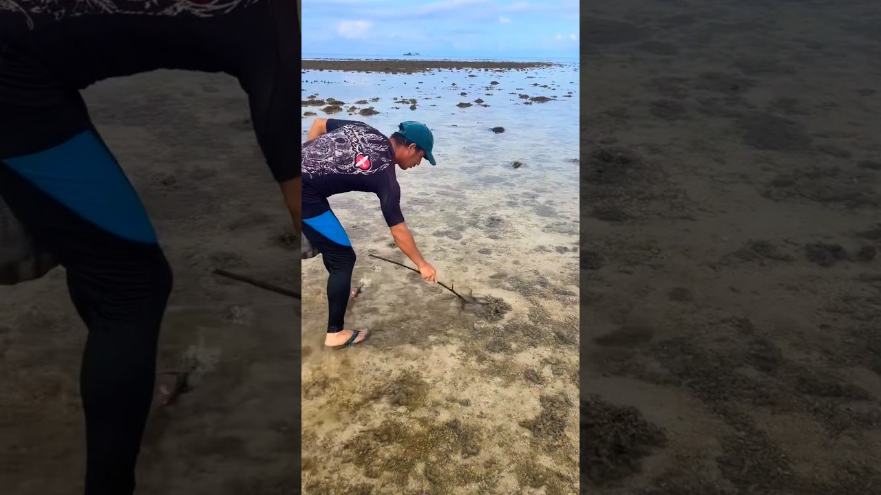 SHOCKING! Giant Octopus Found in Shallow Water! | Epic Low Tide Search & Catch#viral #nature #funny
