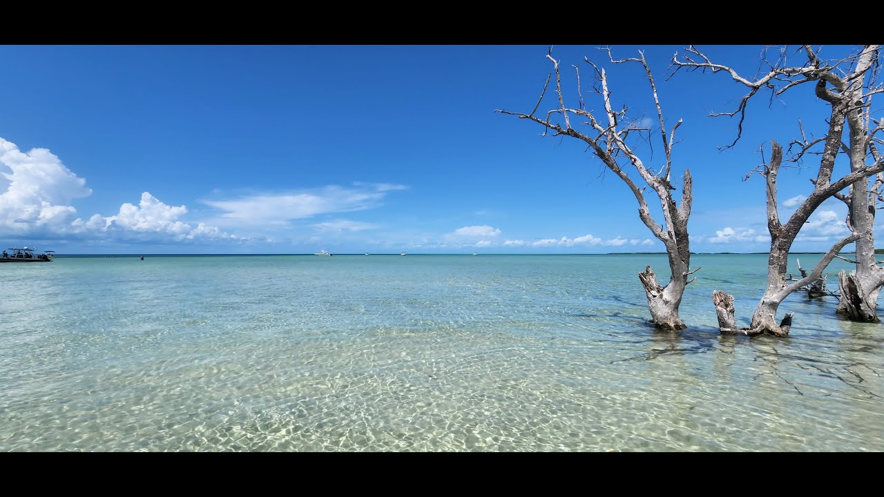 Out snorkeling to Looe Key Reef and the BEAUTY of Snipes Point Sandbar!