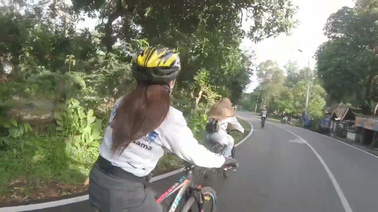 Вдоль дороги, в погоду, полную природной красоты 🌳🌳🌳🌳🌳