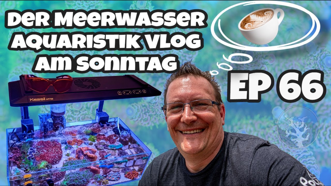📢Der Meerwasseraquaristik Sonntags Vlog EP 66 ⭐Coole Woche & Reefmonkeys Wiedereröffnung ⭐
