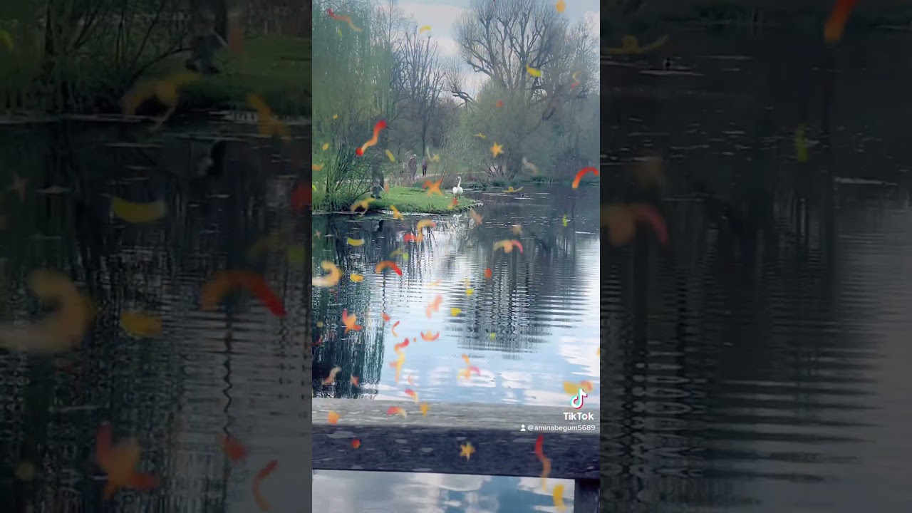 Beautiful anton lake short video 