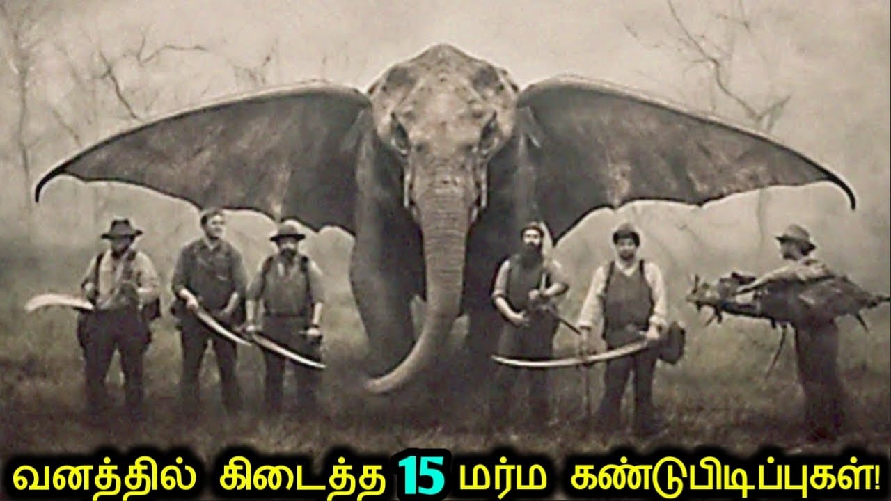 🌳வனத்தில் கிடைத்த 15 மர்ம கண்டுபிடிப்புகள்! | Mysterious Jungle Discoveries | Tamil Ultimate