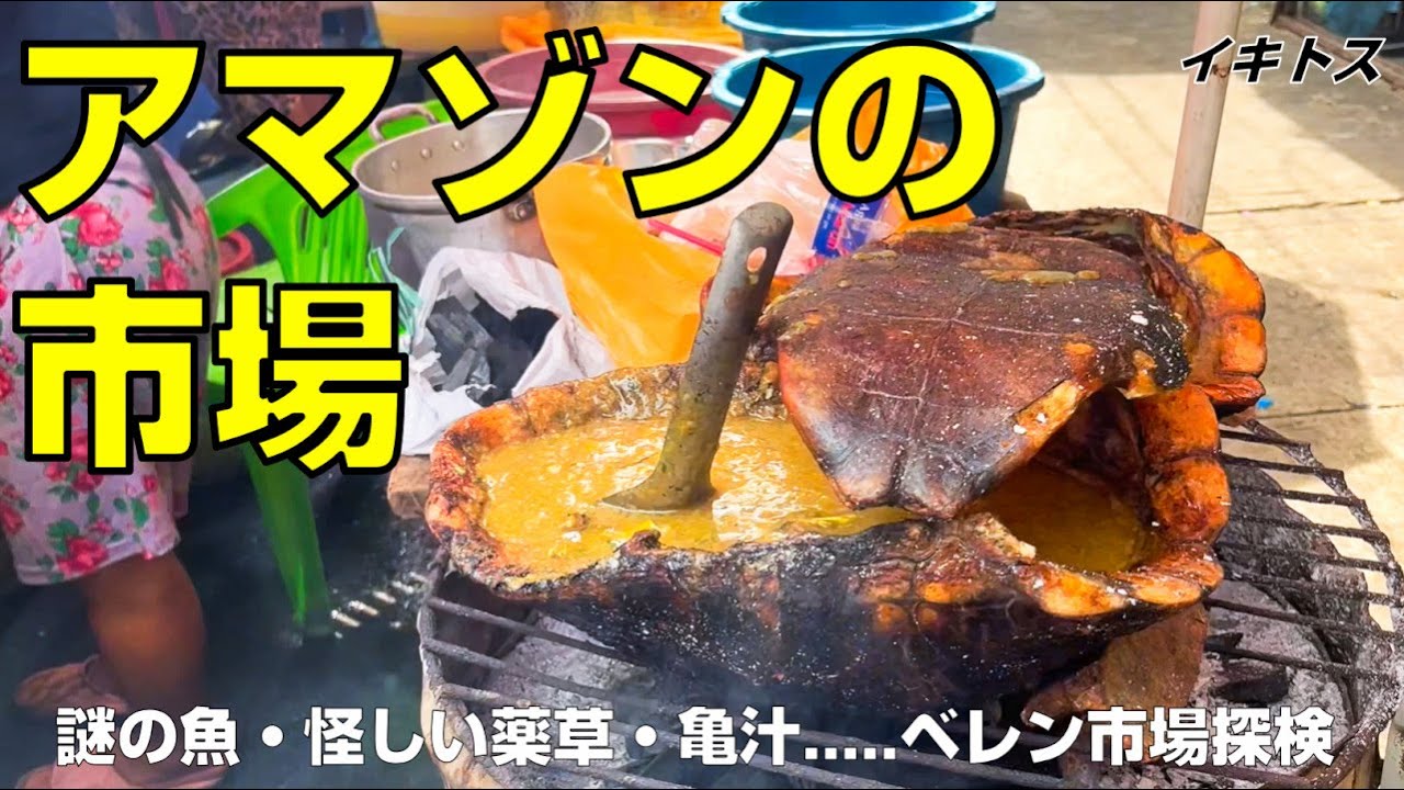 【ベレン市場探検】見たことない食材だらけ！亀の甲羅で煮込むスープ！？