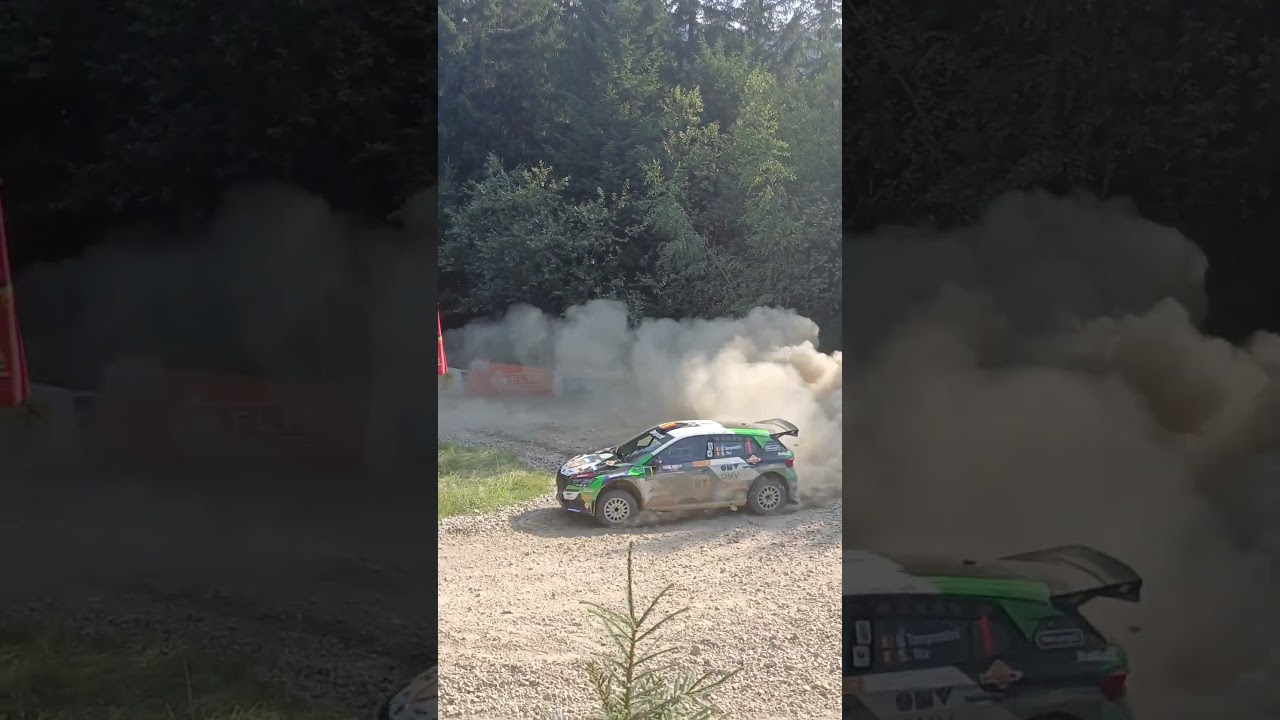 Simone Tempestini-Raliul Sibiului 2024 #racingaction #rally #skoda
