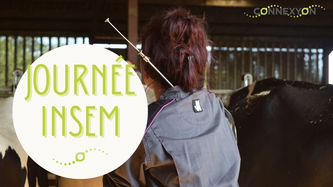INSEMINATION avec Audrey - Inséminatrice Cecna