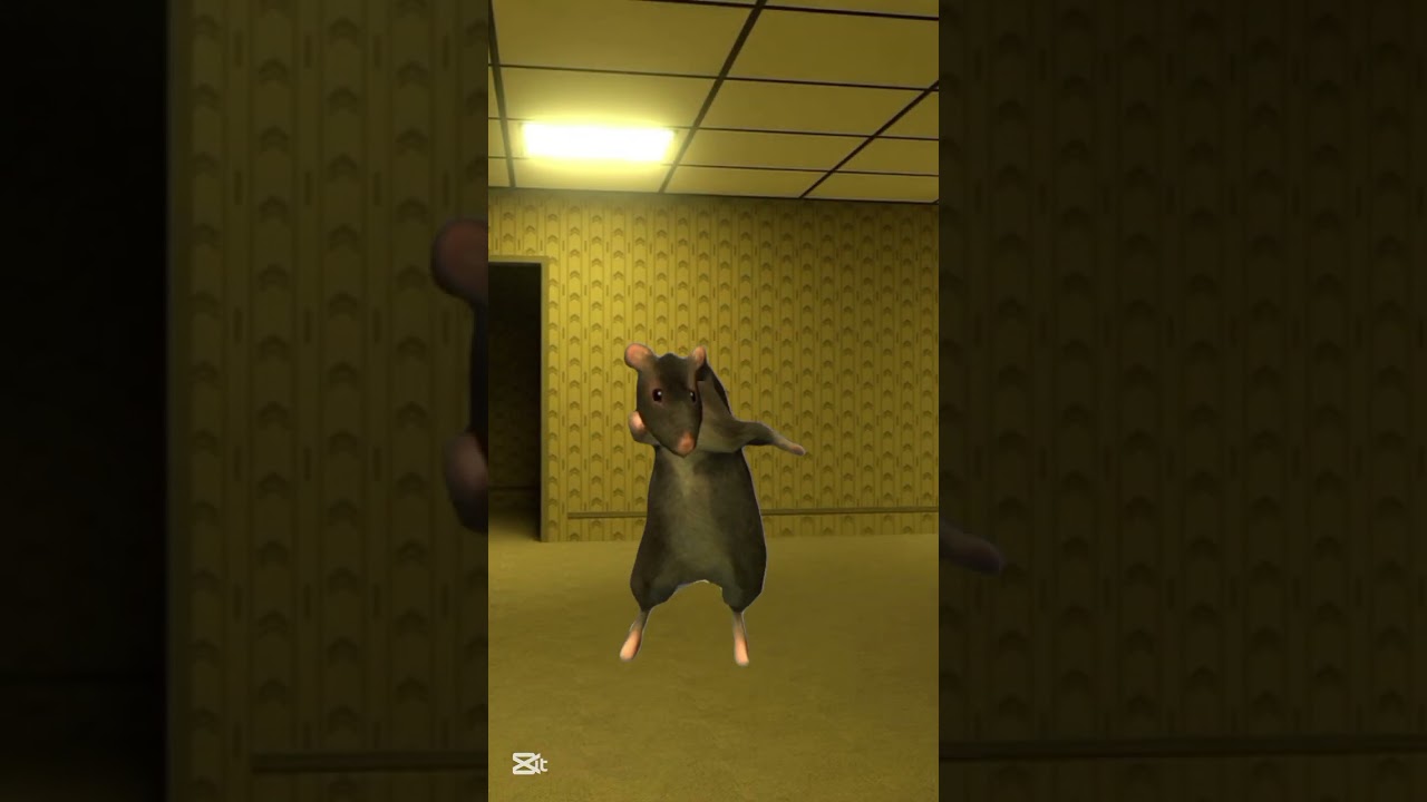 Rato Milton in backrooms #backrooms #edit #capcut #meme