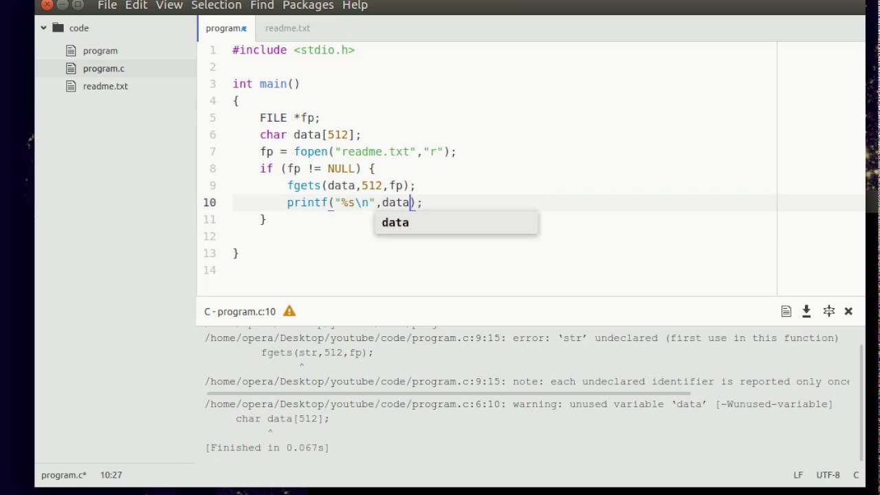 Learn C - read file, fopen, fgets