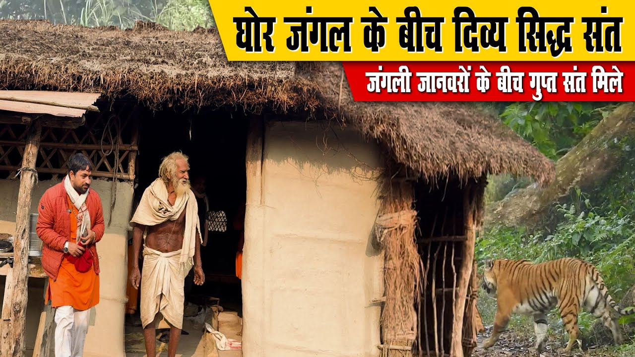 घोर जंगल में दिव्य सिद्ध संत, जंगली जानवरों के बीच गुप्त संत मिले  jangal ke gupt sant
