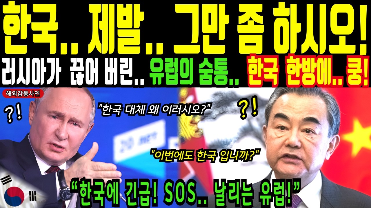 러시아가 끊어 버린 유럽의 숨통.. 한국이 싹 다 살려낸 이유?ㅣ해외감동사연
