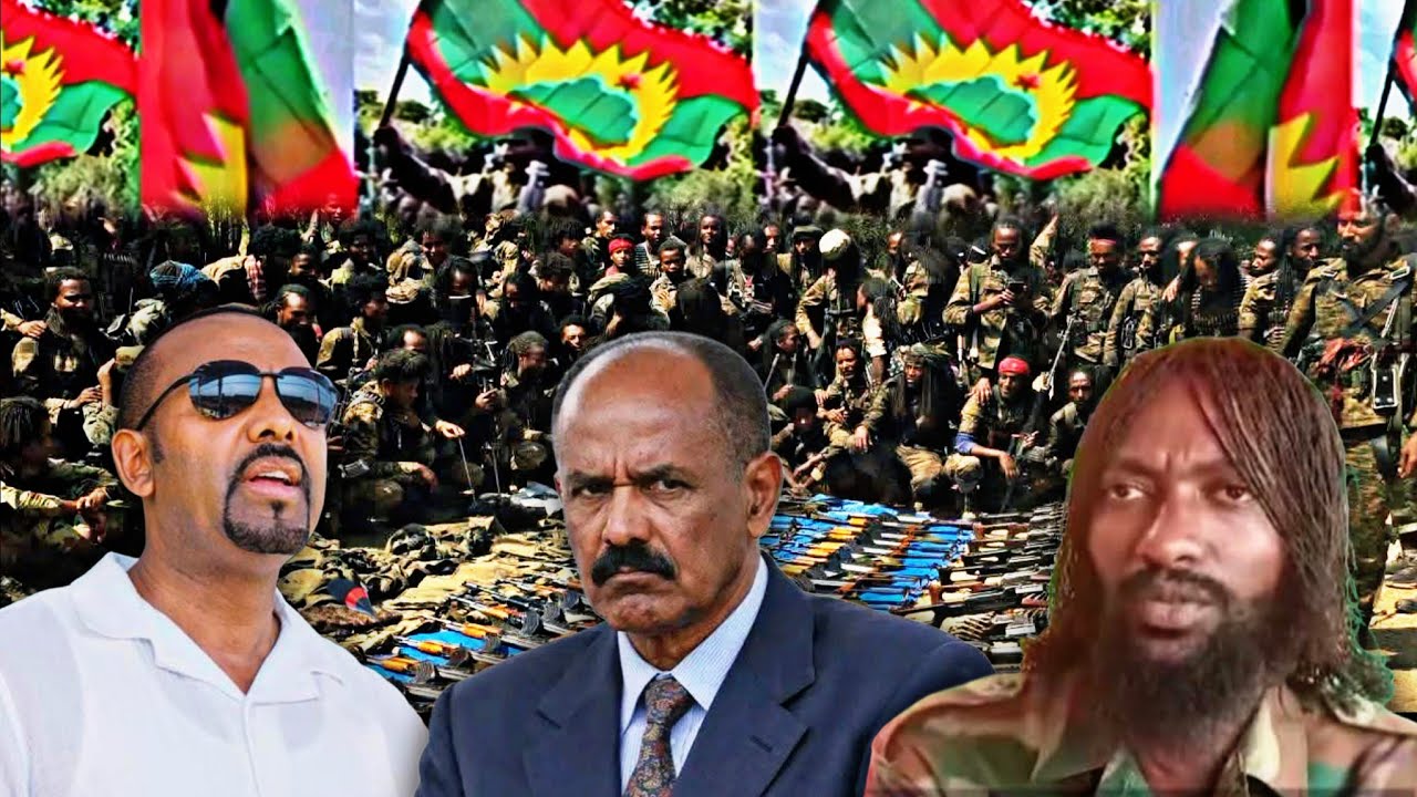 Oduu Ammee Injifannoo WBO Haasawa MM Abiy Deebii shaabiyaa Gurrandhala 25,2026