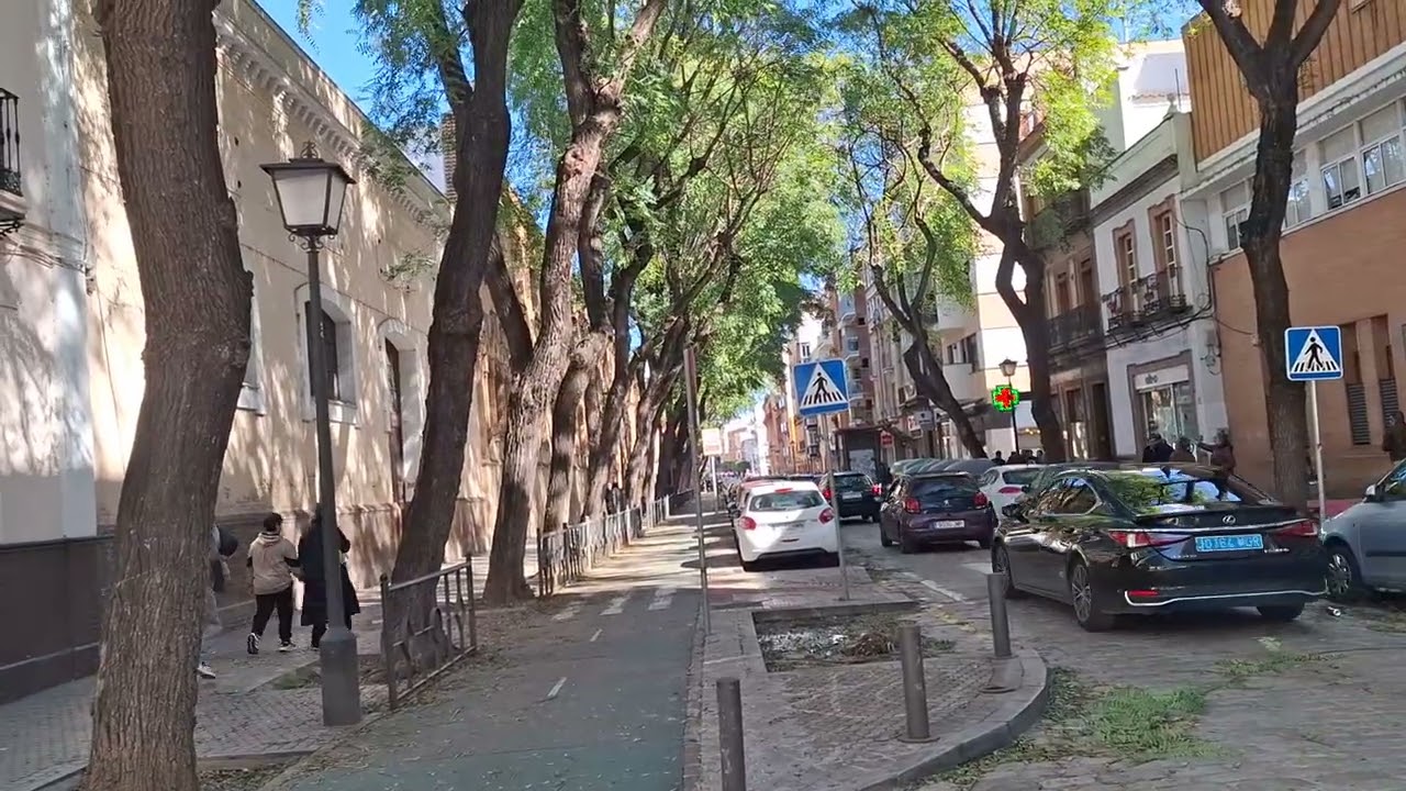 Caída de árboles por las lluvias y el viento en Sevilla febrero 2026.