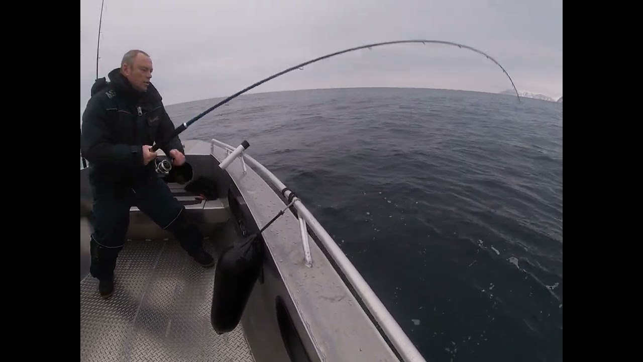 Hasvik Skrei 1