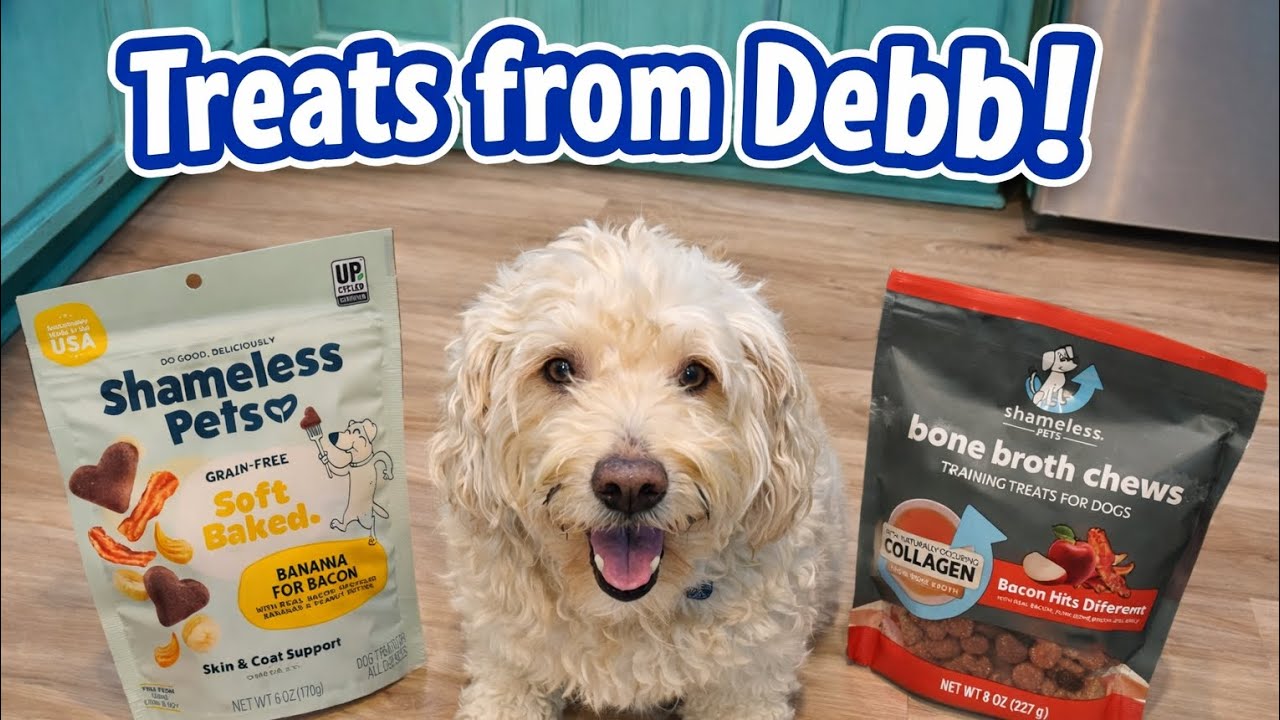 Bear Can't Get Enough of These Treats!
