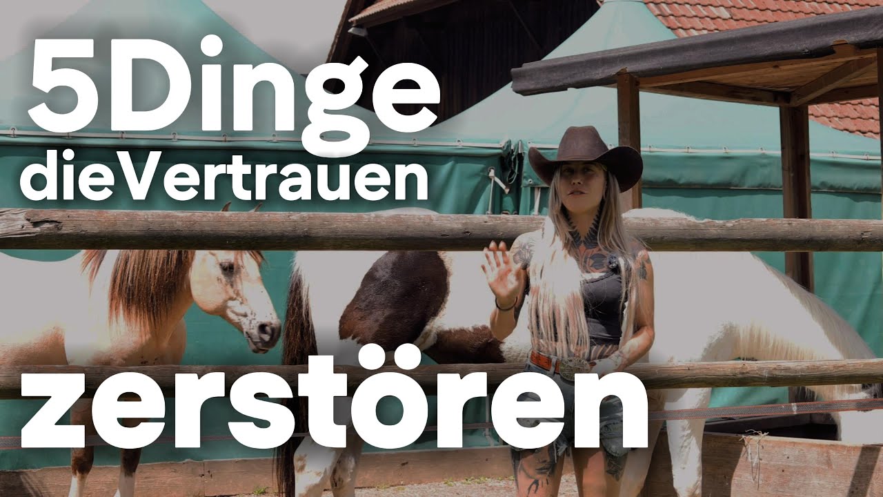 Warum dein Pferd dir nicht vertraut – und wie du es reparierst