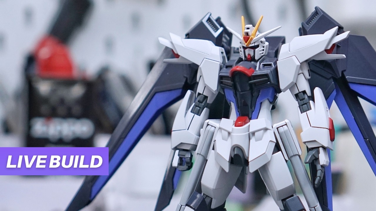 Freedom Gundam Build and Chill