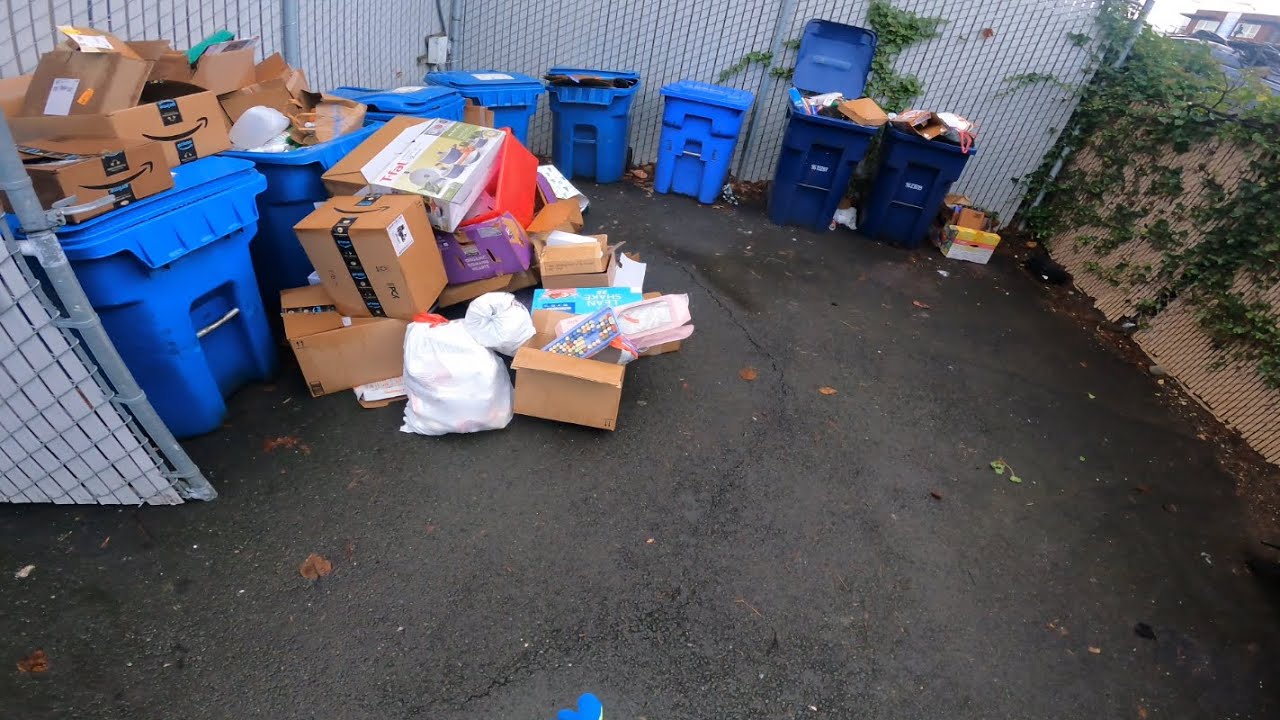 8 Totes, 1 Enclosure | Rear Loader Christmas Aftermath (Pt. 1)