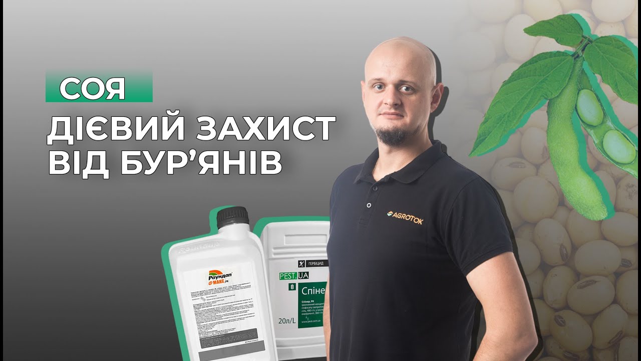 Соя: дієвий захист від бур'янів