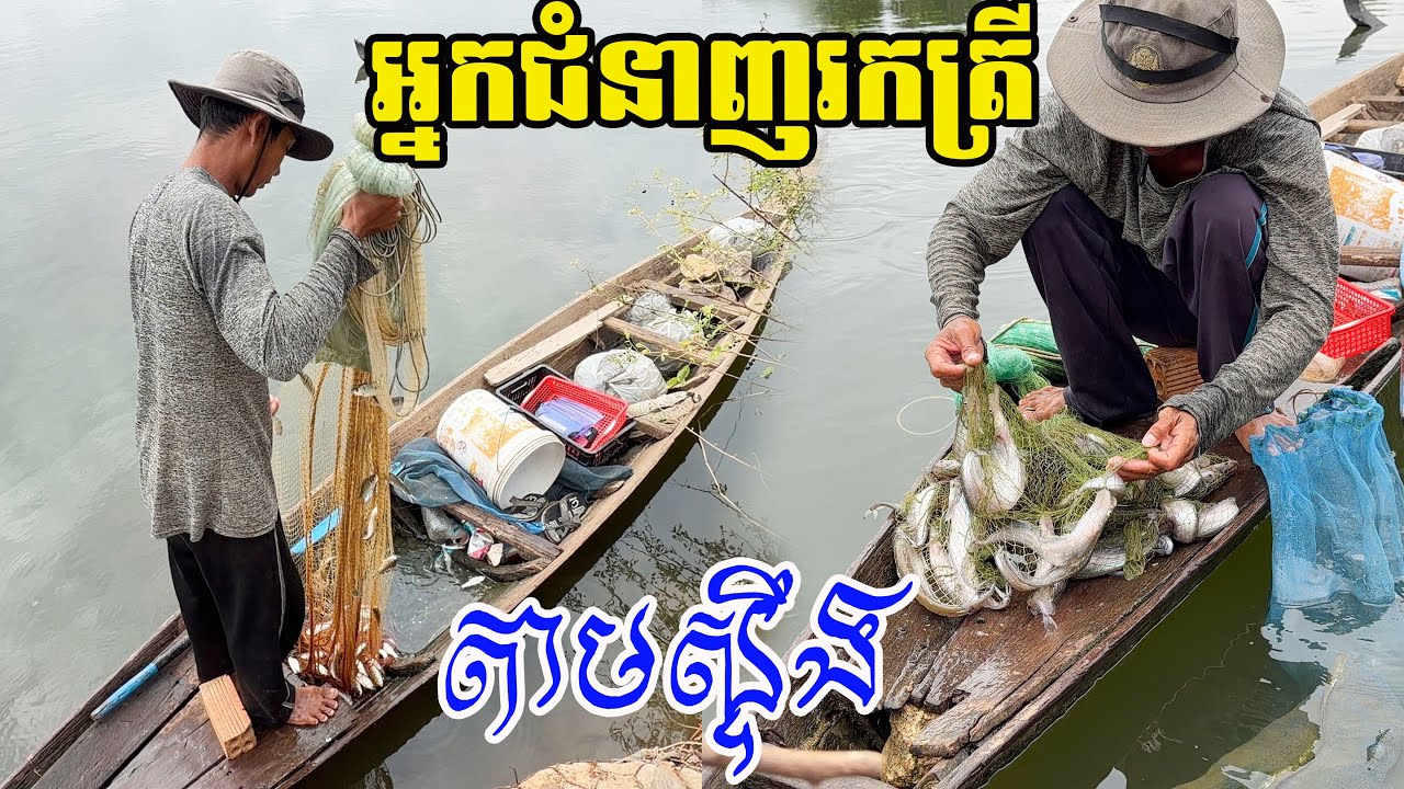 អ្នកជំនាញរកត្រីតាមស្ទឹង - Nimitt Fishing