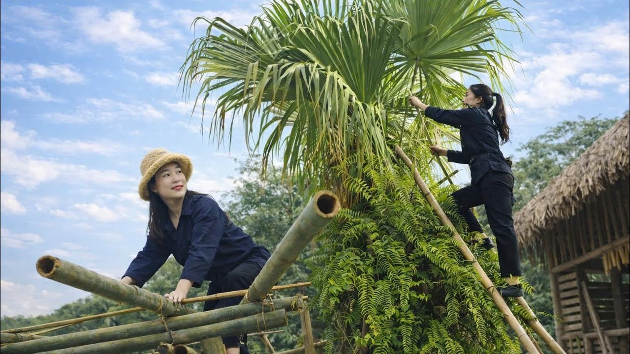 FULL VIDEO: Beautiful village girl builds bamboo house by the lake in 30 days. And survive here.