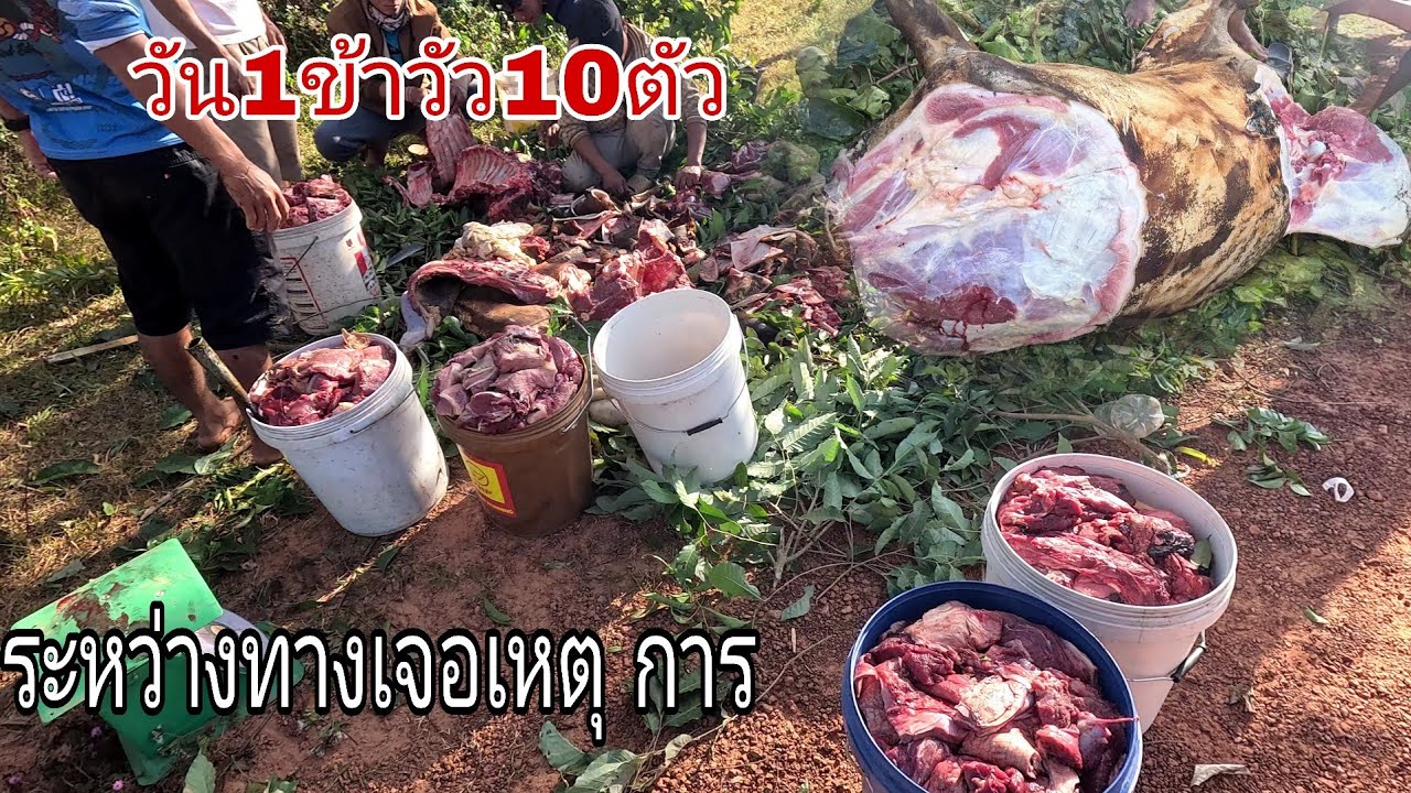 ຊອຍຈຸ້//ชอยจุ๊เนื้อวัวอรอยมากๆ