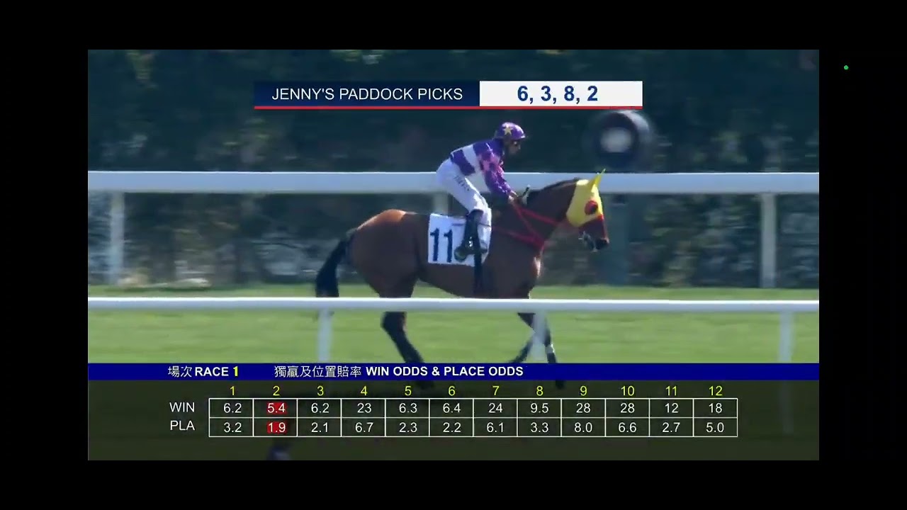 1月11日和記好馬現場睇馬單Q3一5