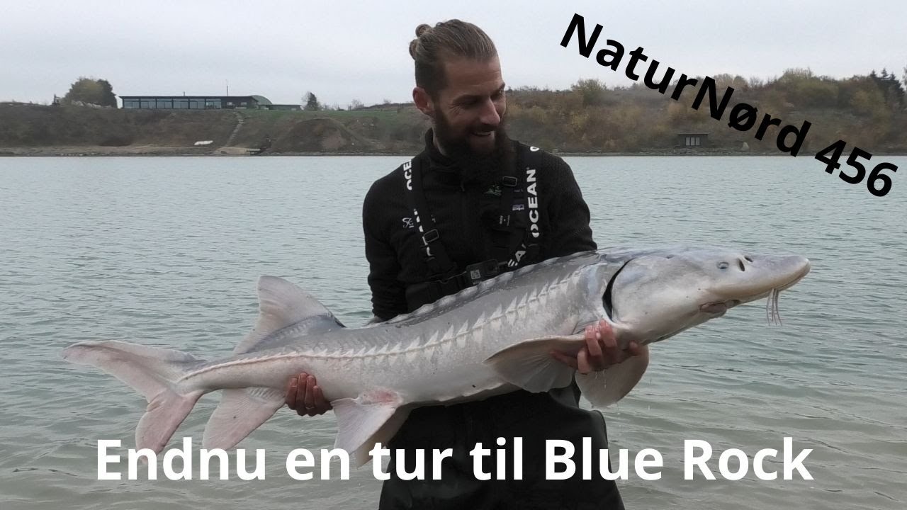 Ny Tur til Blue Rock efter Stør!!! Del 1.