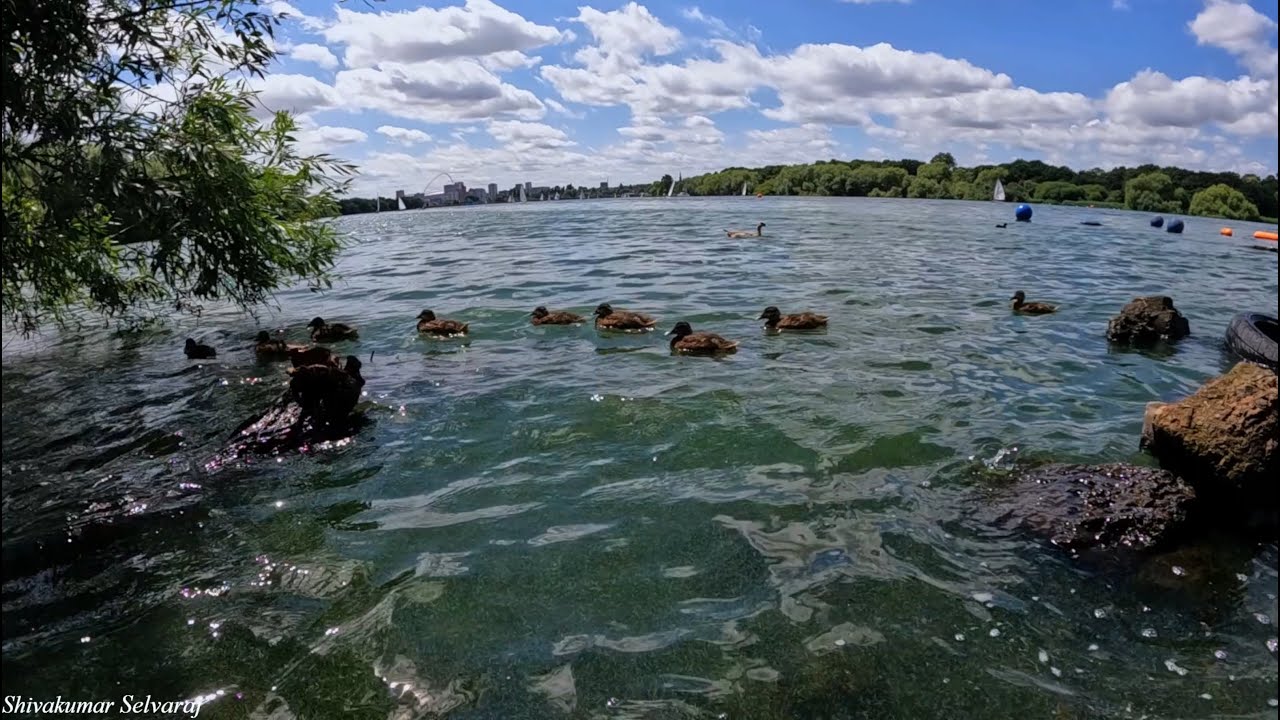 Brent Reservoir Walk - London, UK