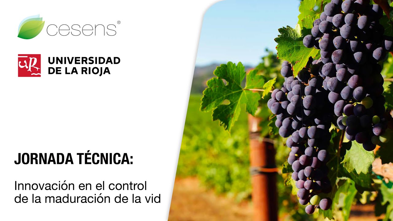 Jornada Técnica: innovación en el controlde la maduración de la vid