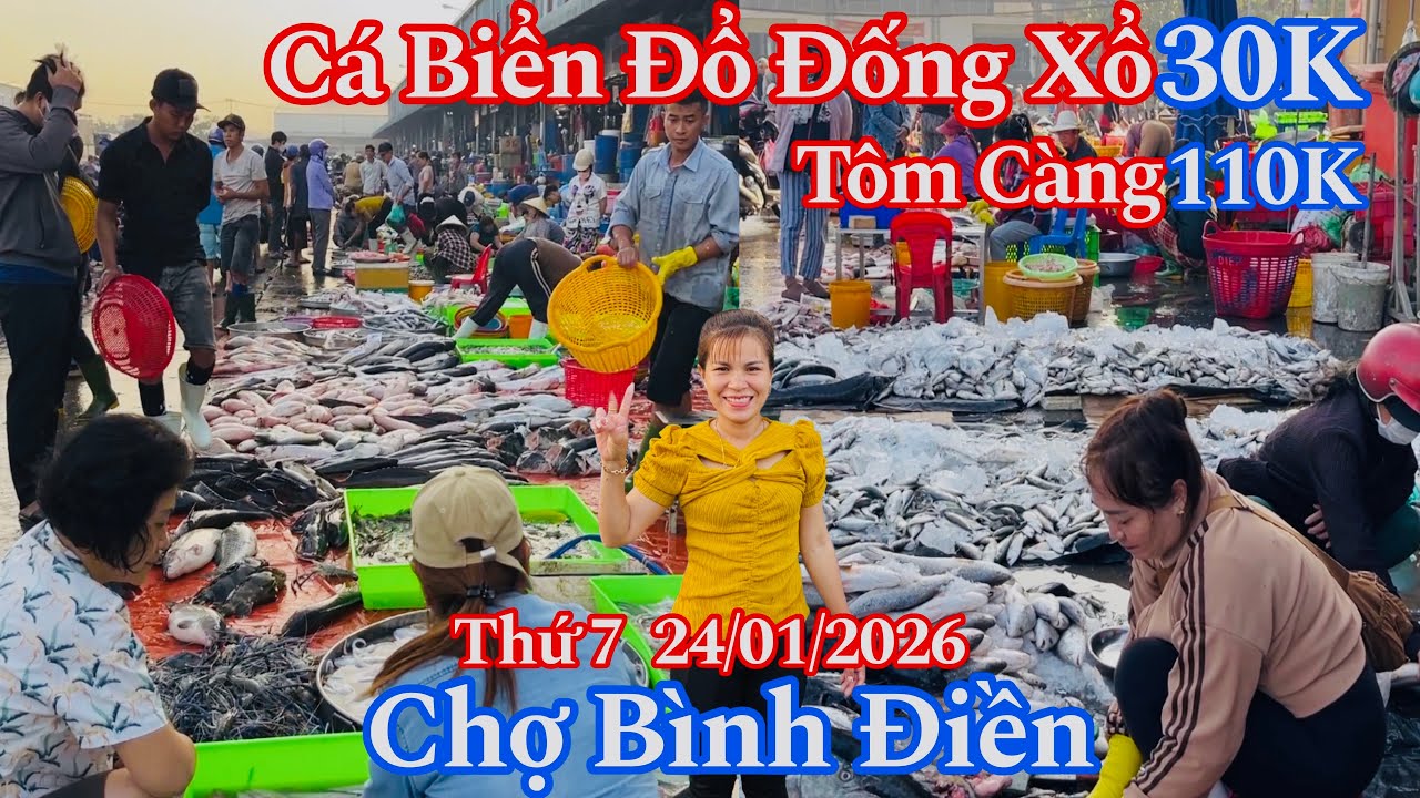 Chợ Bình Điền Sáng Thứ 7 - Cá Biển Xổ 30K, Cá Mùi 35K, Tôm Càng 110K, Cá Chẽm 60K | 24/01/2026