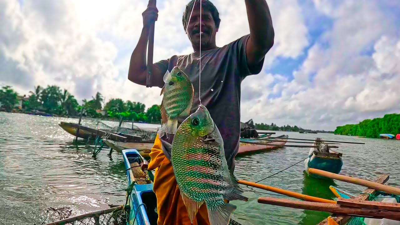 Double Hook-up! Back to Back Green Chromide Fishing in Beautiful Negombo Lagoon