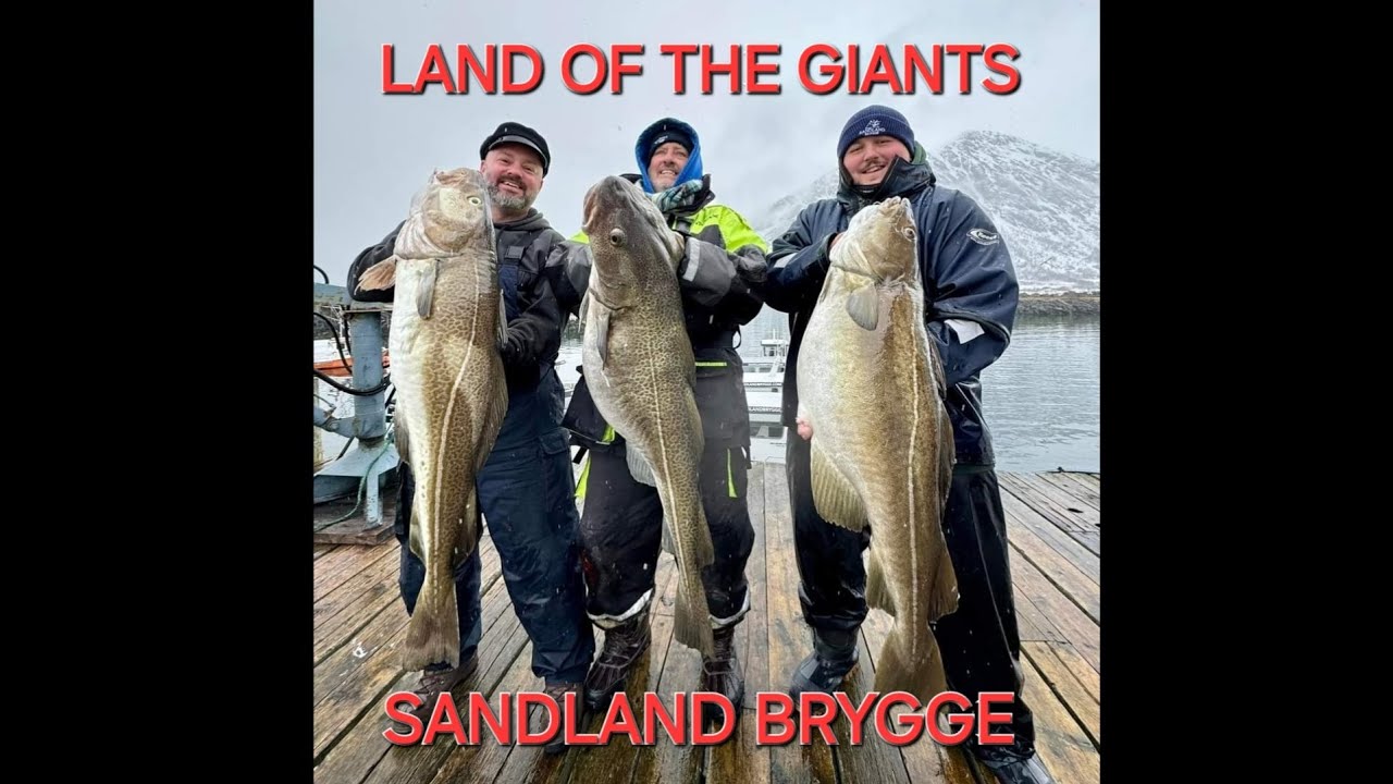 COD FISHING IN NORWAY, LAND OF THE GIANTS, @Sandland Brygge AS