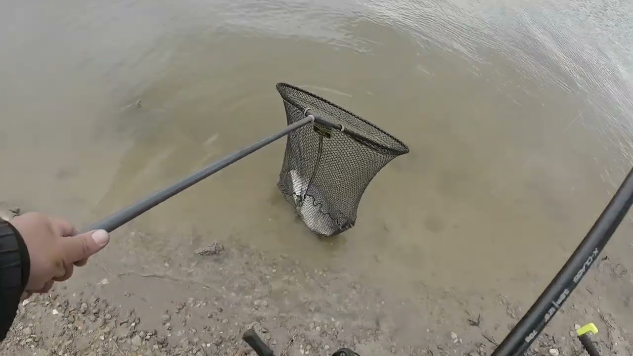 Язовир Бодрово 