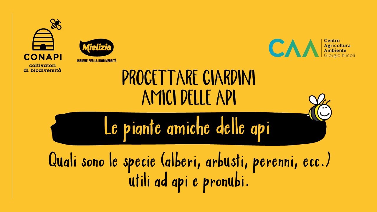 Le piante amiche delle api  - Webinar Progetto Verde Urbano
