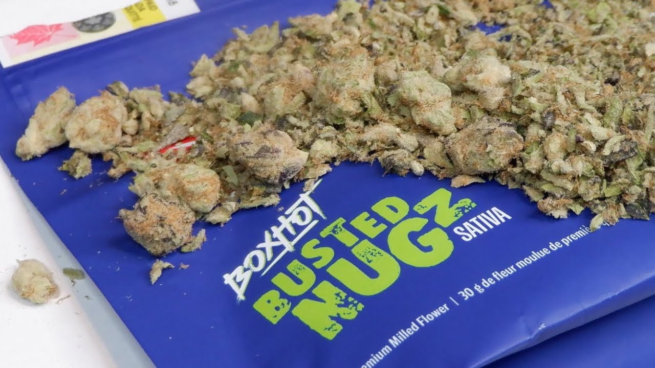 Strain Review Busted Nugz Sativa (Cherry Haze) By BoxHot