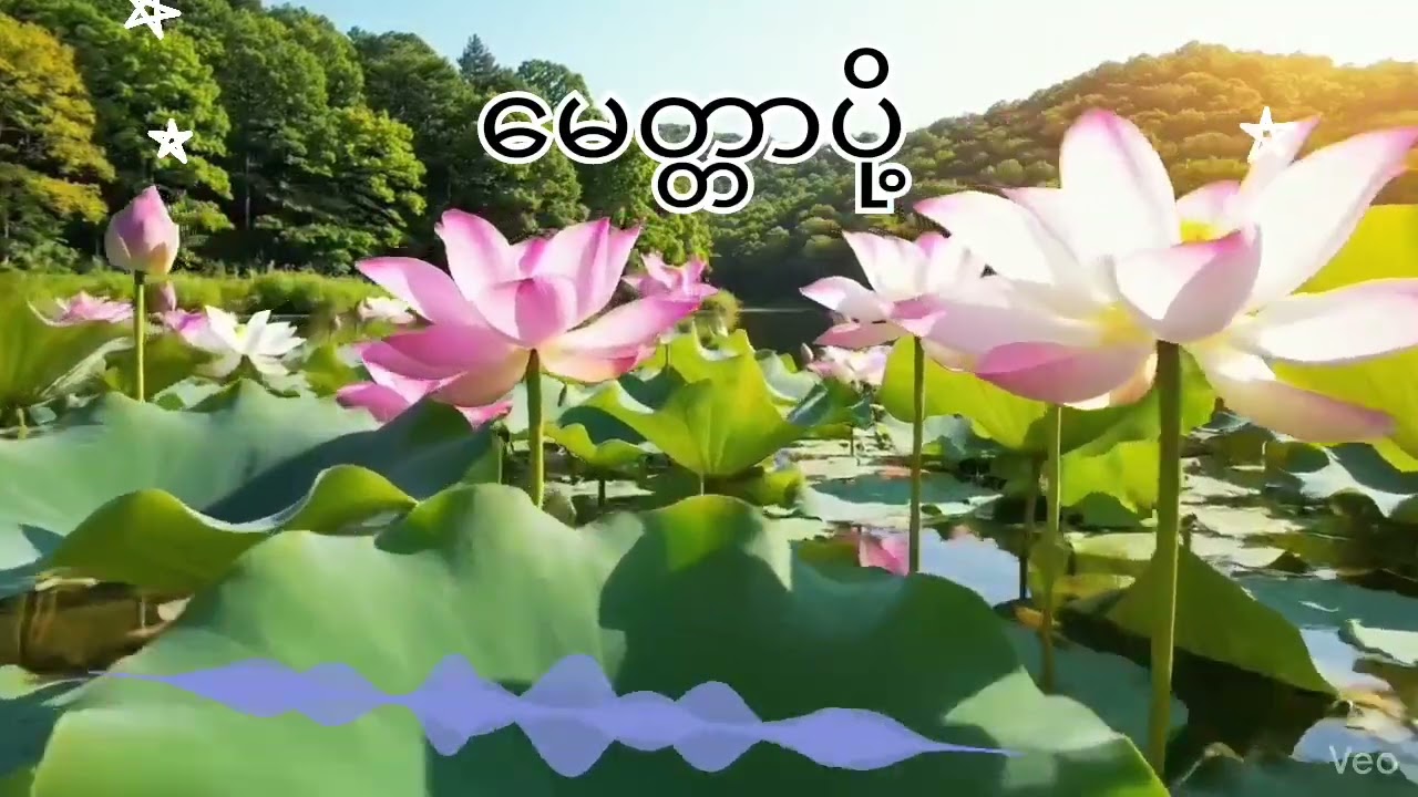 Lone Sone Myar Swar လုံးစုံများစွာ မေတ္တာပို့