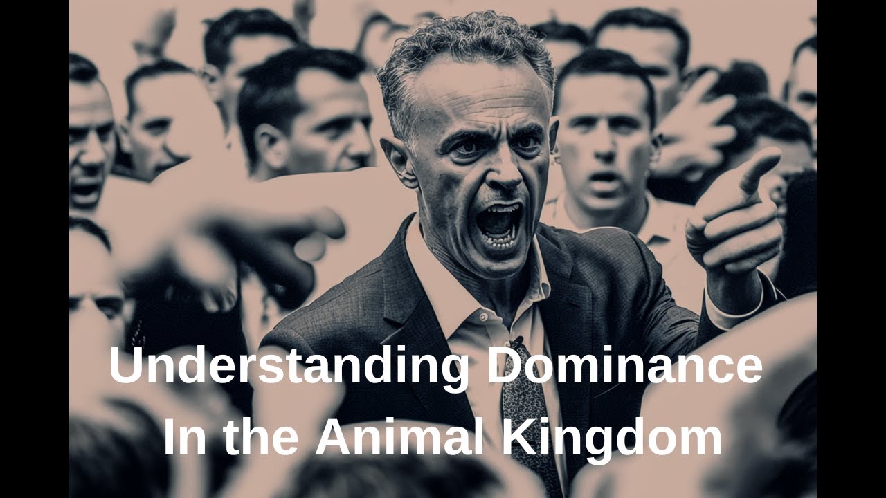 Hierarchy and Authority: Understanding Dominance in the Animal Kingdom - Jordan Peterson