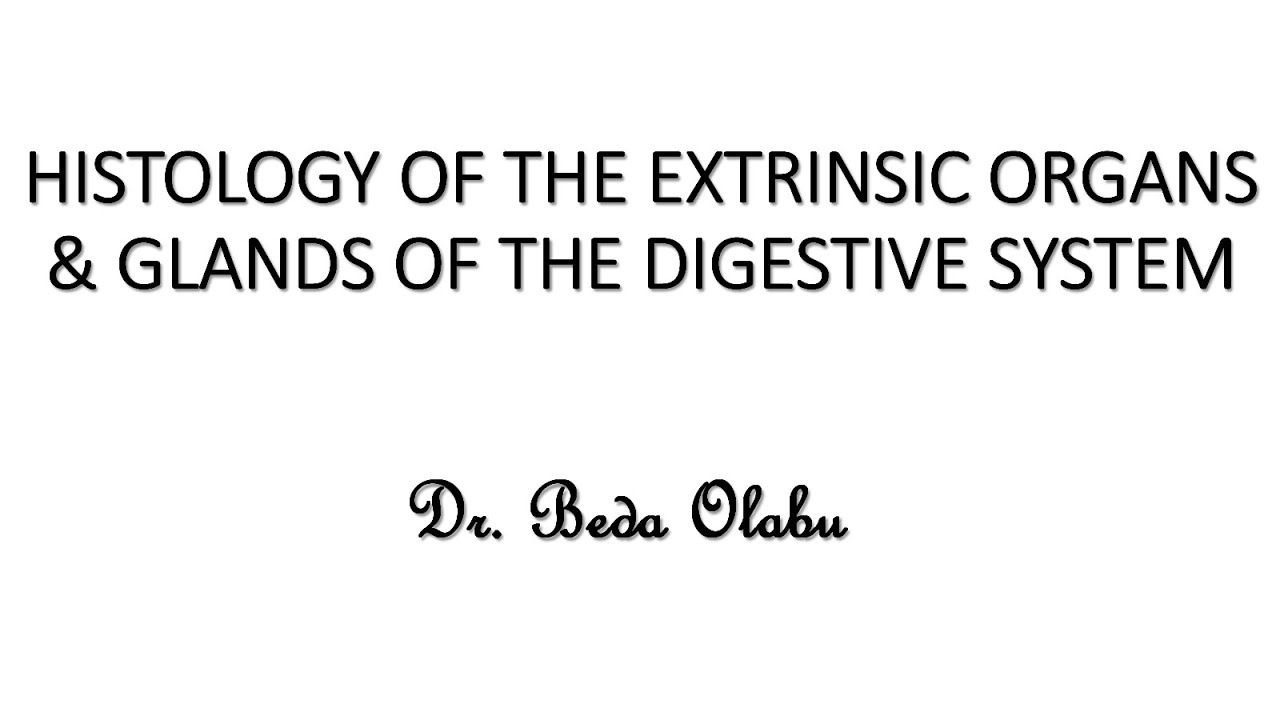 MICROSCOPIC / HISTOLOGICAL ORGANIZATION OF THE EXTRINSIC ORGANS & GLANDS OF THE DIGESTIVE SYSTEM